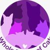 Cats Cats and More Cats