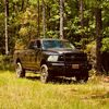 cottonthe5.3