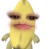 snrhagst