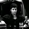 coura_r7