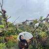 nabilahnj___