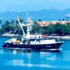 antoniorobles943