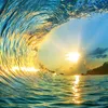 user2818199932