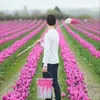user9204423029090