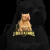 j.bull_kennel