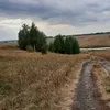 askarova802