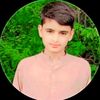 ali.hamza.gujjar594