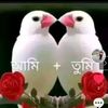 cmraj21