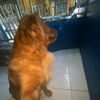 tutt_dutaa444