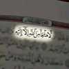 salwamehrez