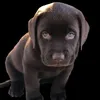 user.games007