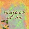 ali.lashari160