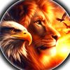 🦅 الصقر 🦅الحر👊