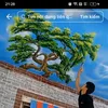 noinhophuongxa673tiktok3