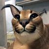 smokeypimp