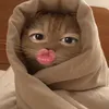 _ellen_908