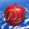 yaznn1420