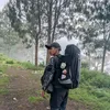 paluadv