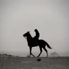 kozha4_chaw_sa4wz