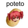 roxysta