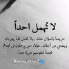 user3962807013905