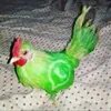 yapnb3