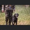 fowlmouth.lab.retrievers