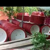tuanh_1_86
