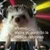 gabimuprhy