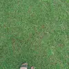 beautyongg