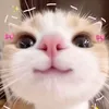 ms_elyyi