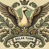 bulak_farm