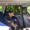 romeylovesstitch