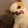 ngocqinnie