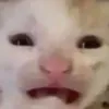 anyuluv