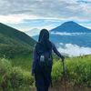 faahanifatul