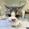 sulsel_cuy