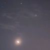 nyamnyam_209