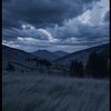 amir_plv29