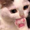 imnotvivian