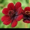 user84807953777113