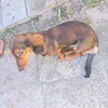 anjacool4