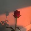 marwaisaaq07