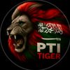 tanveerahmed74097