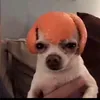 max.__13