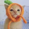 nikkityyan