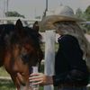 am_rodeo2007