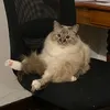 arnaudmxk