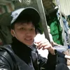 trinhvangtrinh
