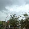 flooweryy_274